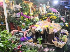 -曲阳花鸟市场(曲阳路店)