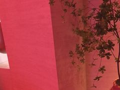 -舒小悦·舒养SPA·古法推拿(光环中心店)