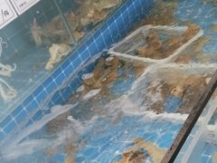 -锅老头铁锅炖•大锅蒸汽海鲜(韩乐坊店)