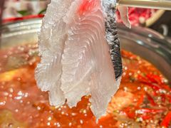 -苏家大院庭院式老火锅(高灯北街店)