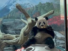 -武汉动物园