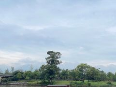 -三垟湿地
