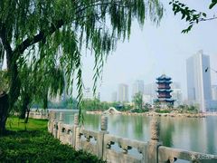 -迎泽公园