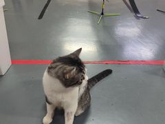 -蓝天射箭馆·专业射箭运动(诚丰广场店)