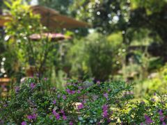 -谷咖啡·鲜花绿植花园餐厅