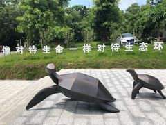 -广东惠东海龟国家级自然保护区