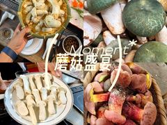 -三锅莊·牦牛肉火锅·香格里拉特色藏餐宴请餐厅(昆明创始店)
