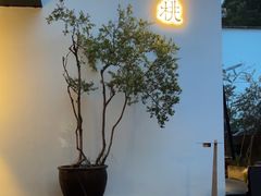 -青桃餐厅