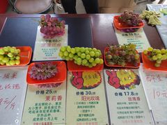 -马陆小张葡萄园农家乐