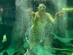 -龙谷湾旅游休闲度假区
