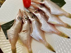 竹仔鱼-围炉夜话·潮汕卤水火锅(榕江店)