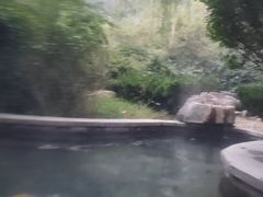 -徂徕山森林康养度假谷温泉