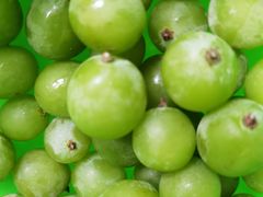 -苹果花园(金耀南路店)