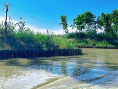 -泗洪洪泽湖湿地景区