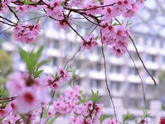 -东华大学(松江校区)