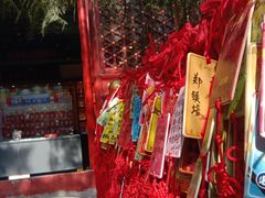 -香山公园