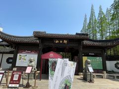 -上海醉白池公园