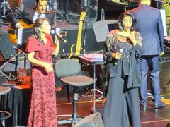 -交通银行前滩31演艺中心