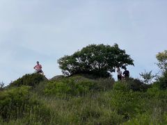 -妙峰山风景名胜区