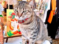 -恋物百货商店(华侨城店)