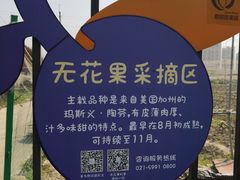 景点-菊园百果园