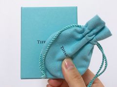 -Tiffany & Co.(银座本店)