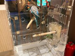 -御海8号温泉酒店