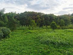 -昆山城市生态森林公园