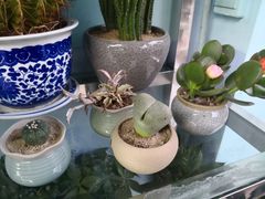 -花心思鲜花店(武昌徐东店)