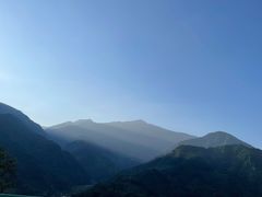 -老号尤兔头(幸福店)