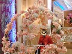 -格莱美量贩式KTV(国信店)