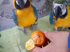 -石家庄市动物园