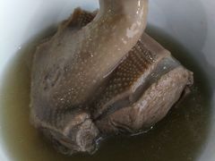 -皇鸽餐厅(龙塘店)