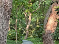 -杭州西子湖四季酒店-WL BISTRO西湖餐厅(灵隐路店)