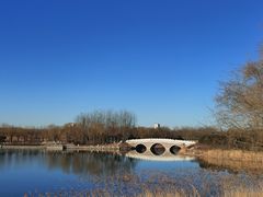 -大兴滨河森林公园