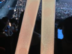 -华润深圳湾体育中心-“春茧” 体育馆