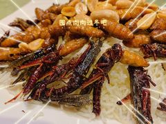 -五邑人家(江门店)