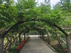 -红螺寺