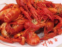 -老鄞江清水龙虾•赵赵家(江北店)