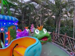 -南宫五洲植物乐园