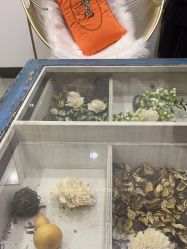 -北京炫美医疗美容