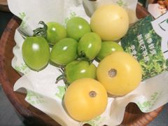 -季季山·云南野生菌火锅(上海首店)