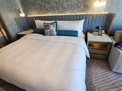 -新加坡文华东方酒店