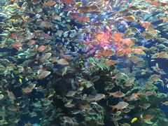 -成都浩海立方海洋公园