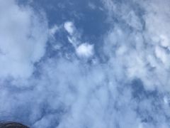 -巨鹏飞梦幻海岸