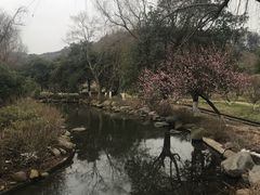 -白马涧龙池景区