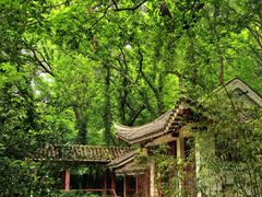 -紫霞湖公园