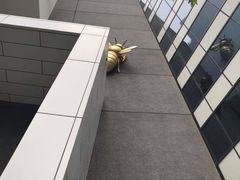 -尤利卡88层观景台