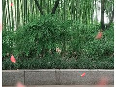 -豫园