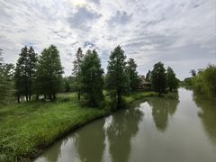 -池杉湖湿地公园